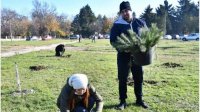 «Лес здоровья» растет в городе Исперих