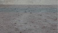 Похолодание с дождем в конце рабочей недели