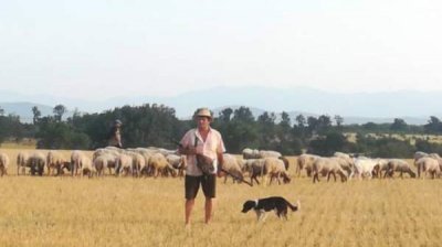 Животные и духовая музыка &ndash; любовь фермера Крума Младенова