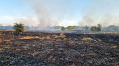 Болгария &ndash; страна ЕС, наиболее серьезно пострадавшая от пожаров в 2024&ndash;2025 г.