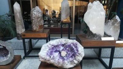 День дарителя в Национальном музее &bdquo;Земля и люди&rdquo;
