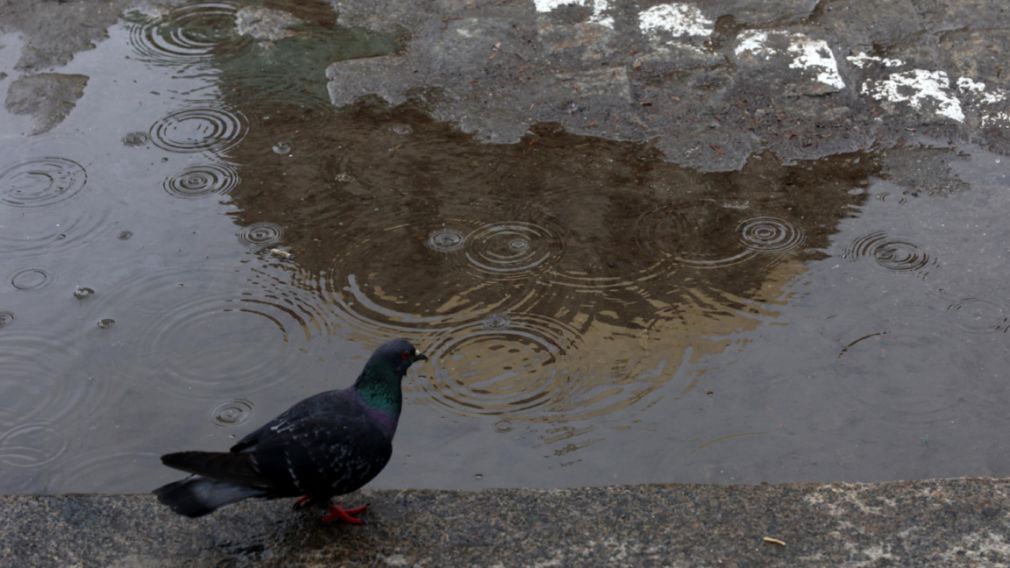 Прогноз погоды на 22 апреля 2026