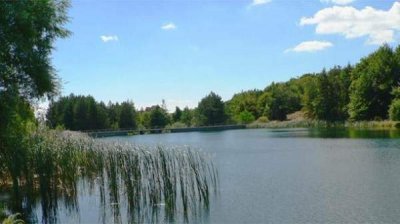 Болгария в год биологического разнообразия: Природный парк &bdquo;Синие камни&rdquo; ‒ рай для бабочек