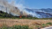 Болгария борется с двумя крупными пожарами