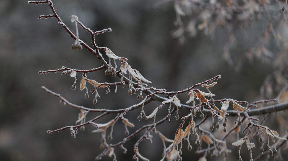 Прогноз погоды на 8 января 2026