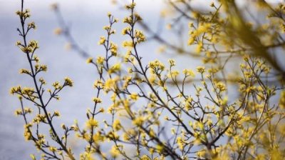 Прогноз погоды на 12 мая