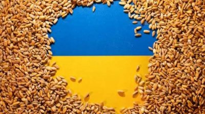 Как украинское зерно стало для Евросоюза &bdquo;яблоком раздора&ldquo;
