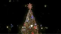 В центре Софии зажгли огни Рождественской елки