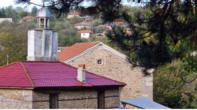 Пятивековая сосна &ndash; достопримечательность с. Пчеларово