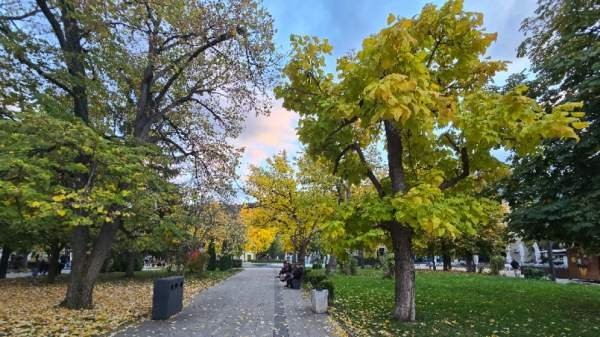 В выходные будет облачно, температура повысится