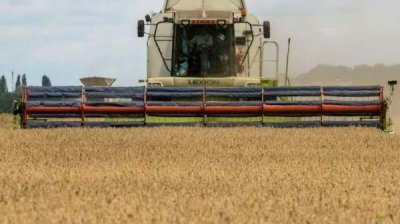 Россия приостановила участие в "зерновой сделке" на неопределенный срок