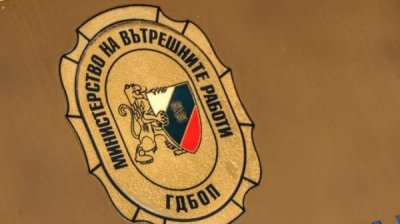 Раскрыта преступная сеть по контрабанде и торговле культурными ценностями