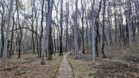 У Тырговиште пройдет экоакция &laquo;Чистая природа &ndash; чистое будущее&raquo;