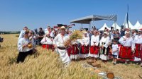 Болгария собирает свое богатство в амбарах