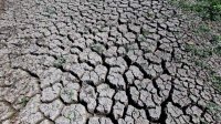 Еще в 2001 году в Болгарии принята Программа по борьбе с засухой, но указанные в ней меры не выполняются