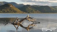 Солнце на побережье, облачно в остальной части Болгарии