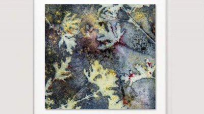 Музей фотографии в Казанлыке представляет лучшее из Фото Академика 2025