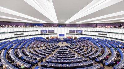 Скопье не удалось пересмотреть договор о добрососедстве с Болгарией в ЕП