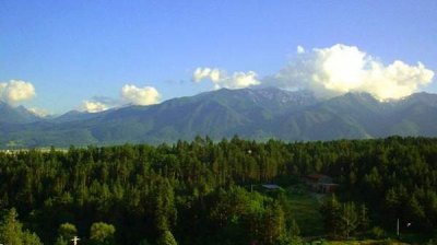 Болгарский лес &ndash; радость и печаль