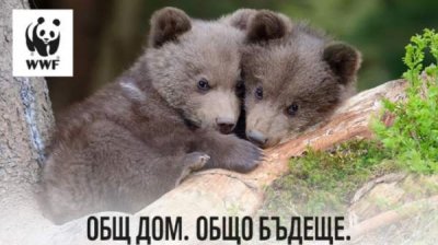 Популяции дунайских динозавров &ndash; осетровых, грозит исчезновение