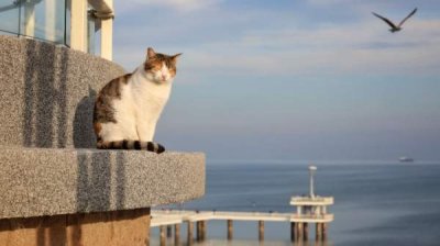 Температура достигнет 29 градусов