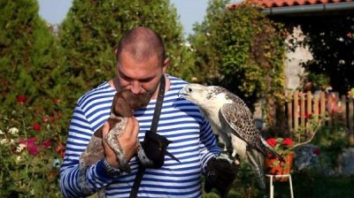 Павел Якимов: Разведение соколов &ndash; это не хобби, а призвание