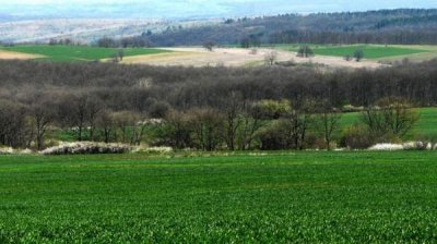 Село Поляна &ndash; случайный поворот, который пленил на всю жизнь