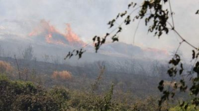 Летние пожары &ndash; стихия, неосторожность или преступление