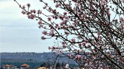 Начинается потепление, но в горах снег