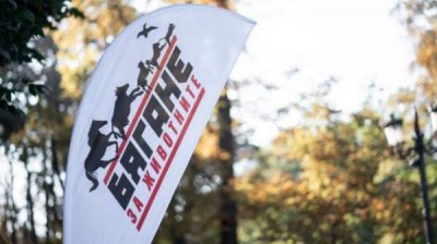 "Бег ради животных" с призывом к более гуманному отношению к обитателям ферм