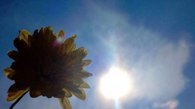 В Болгарии наступает астрономическое лето