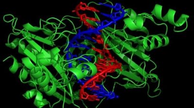 Генетическая характеристика современных болгар &ndash; новые открытия