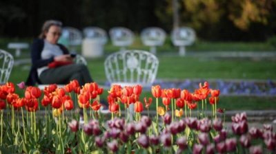 Солнечно до полудня, затем дождливо