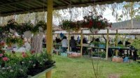 Серия базарных дней оживляет улицы небольших городков Пловдивской области