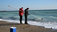 Экоминистр распорядилась о проверке крушения кораблей в Черном море