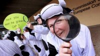 „Зеленое” яблоко раздора в новой Единой сельскохозяйственной политике ЕС