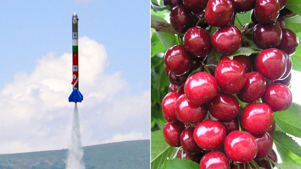 Болгары изобрели топливо из&hellip; черешни!