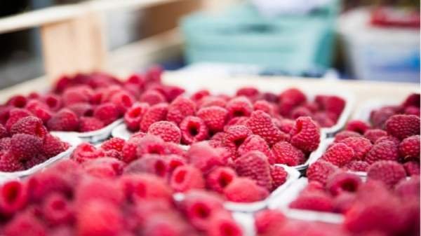 Малиновое волшебство в Самокове – десять лет традиции, вкуса и хорошего настроения