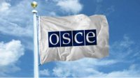Миссия ОБСЕ сомневается в возможностях ЦИК
