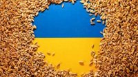 Сельхозпроизводители ЕС планируют протесты против бесконтрольного импорта зерна из Украины
