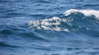Спасатели предупреждают об опасности разрывных течений в Черном море