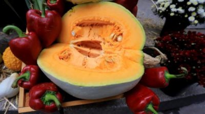 Работа на земле &ndash; лучшая трудовая терапия