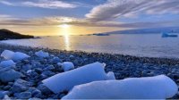 Антарктида и ее невидимые обитатели вызывают интерес молодых болгарских ученых
