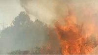 У Стара-Загоры разгорелся новый пожар