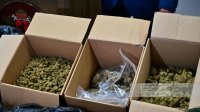 92% болгар считают употребление наркотиков серьезной проблемой