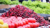Бюрократия и изменение климата сокращают болгарское экопроизводство