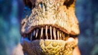 Динозавры „поселятся” в благоевградский парк “Бачиново”