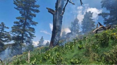 Молния вызвала пожар в Природном парке &quot;Рильский монастырь&quot;