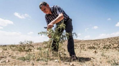 "София фильм фест" поддерживает "зеленую идею"