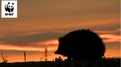 WWF - Болгария запускает благотворительную кампанию "Подпишись на природу"